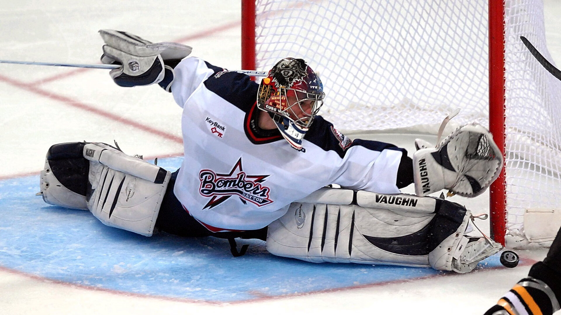 世界游泳青年赛多国选手刷新个人最好，世界青年游泳记录